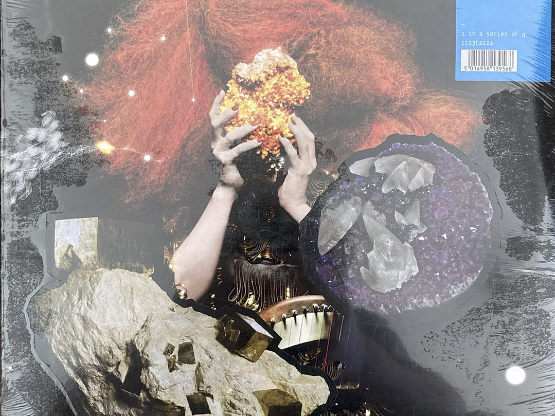 Björk - The Crystalline Series 1