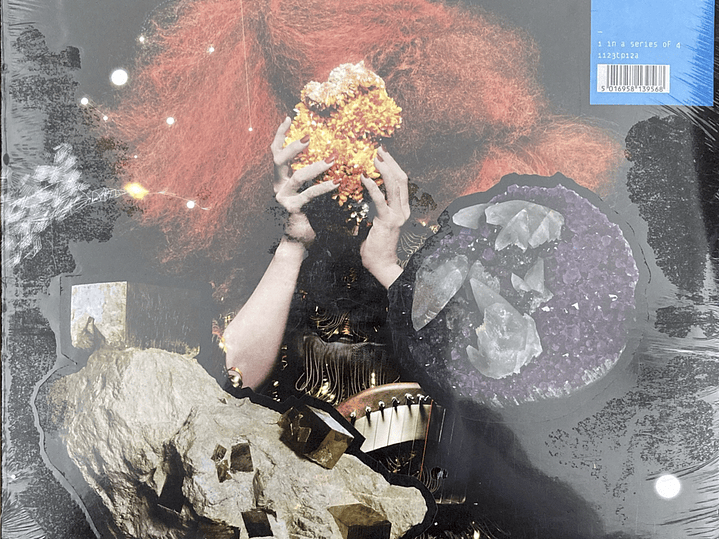 Björk - The Crystalline Series 1