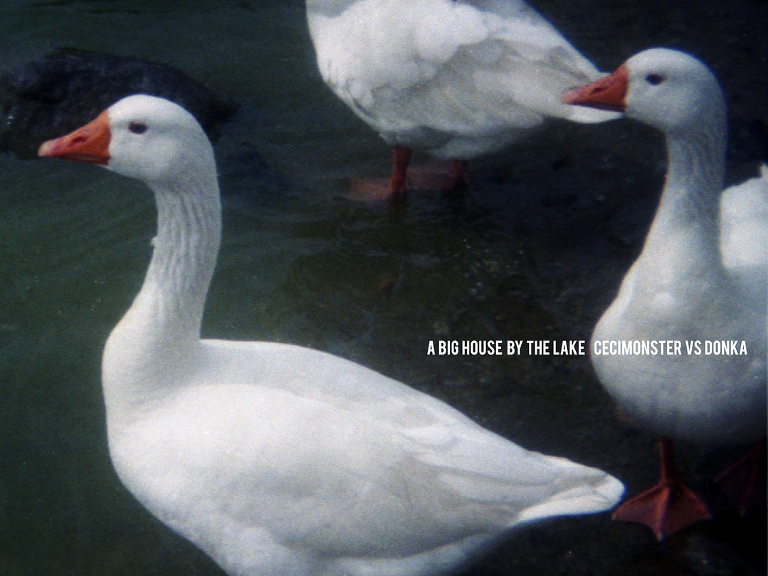 Cecimonster vs Donka - A Big House By The Lake 1
