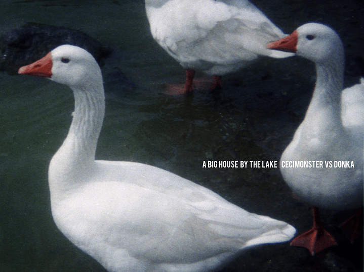 Cecimonster vs Donka - A Big House By The Lake 1