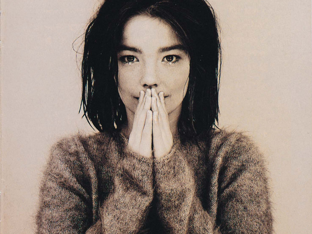 Björk - Debut 1