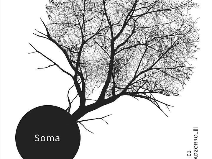 Cola de Zorro - Soma 1