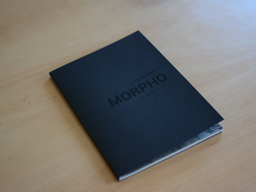 José Tomás Molina - MORPHO (Poemario) 3