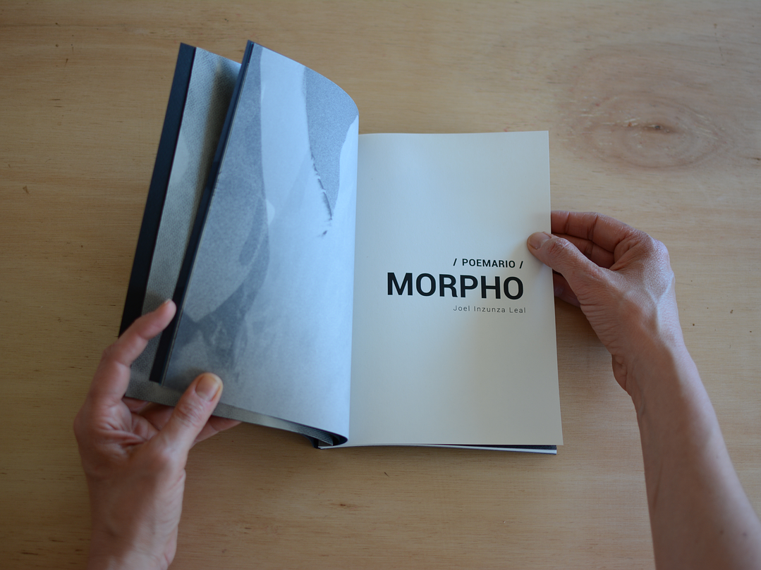 José Tomás Molina - MORPHO (Poemario) 4