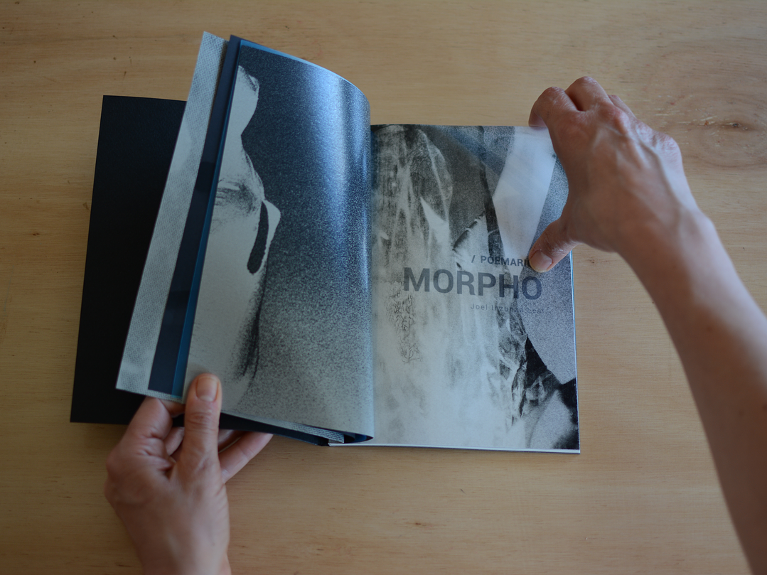 José Tomás Molina - MORPHO (Poemario) 2