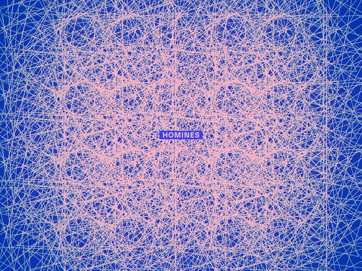 Sistemas Inestables - Homines 1