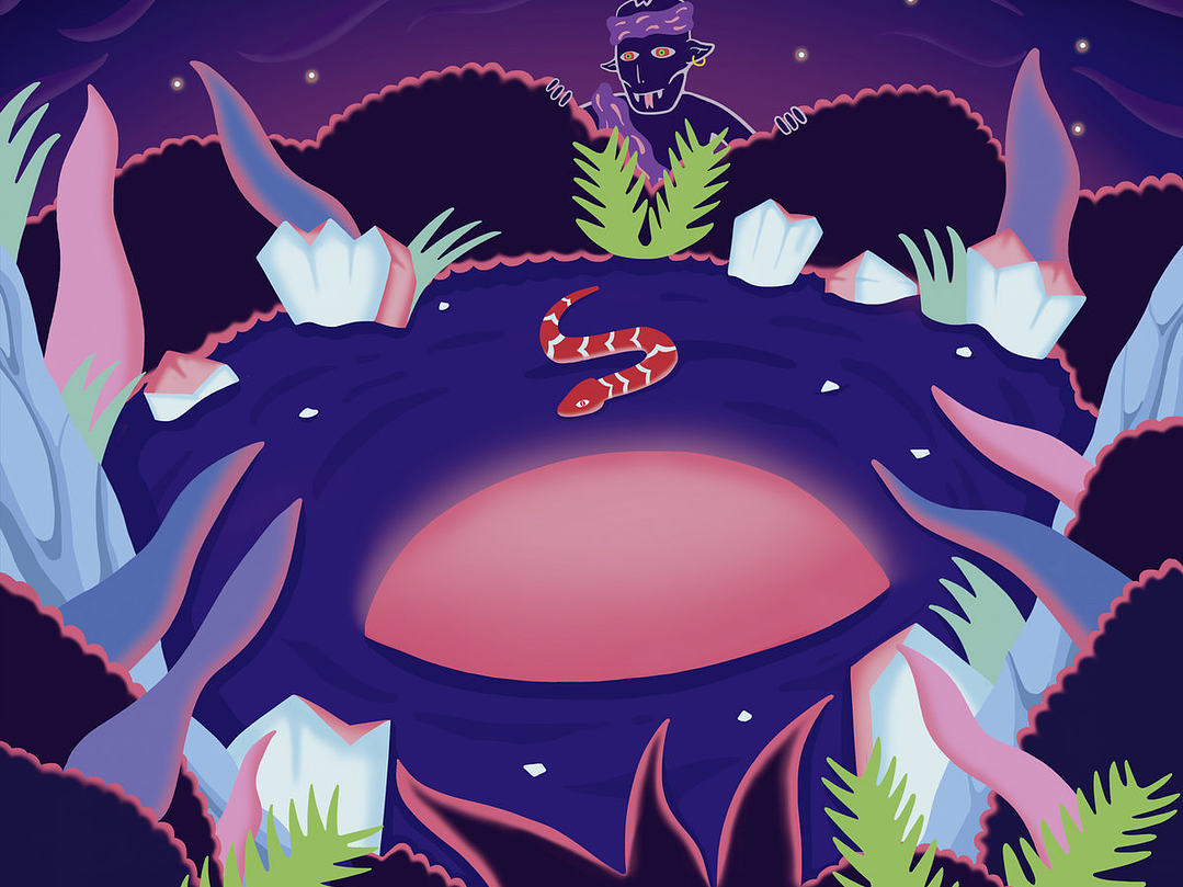 Tortuganónima - Asteral 1