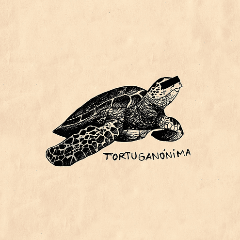 Tortuganónima - tortuganónima