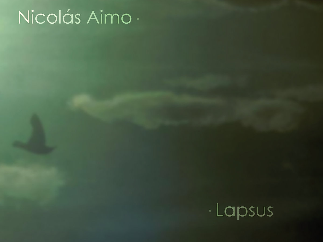 Nicolás Aimo - Lapsus 1