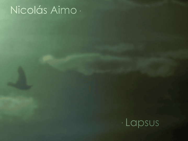 Nicolás Aimo - Lapsus 1