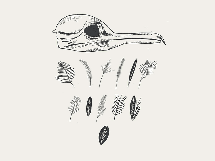 Wanderlust - REVIXERIT 1