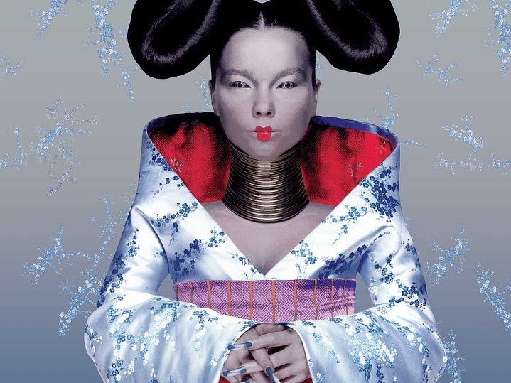 Björk - Homogenic 1