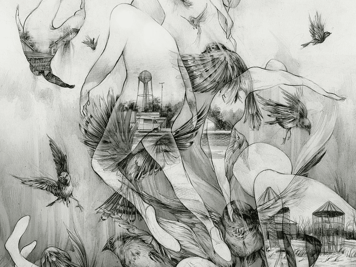 Mono - The Last Dawn 1