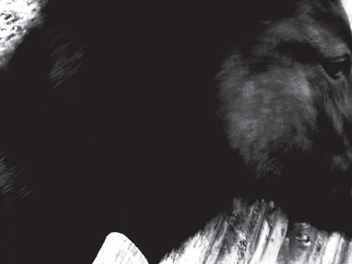 Mono - One Step More And You Die 1