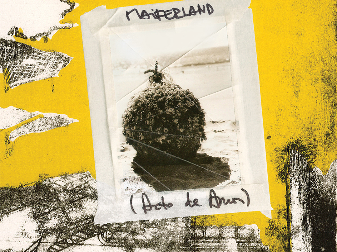 Maifersoni - Maiferland 1