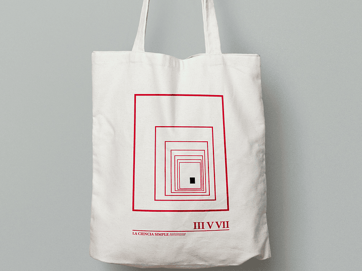 Bolsa La Ciencia Simple | III V VII 1