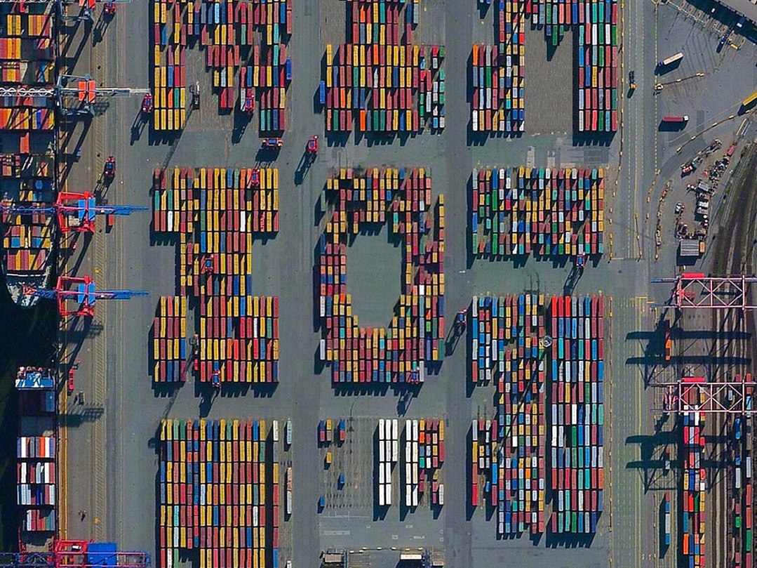 Diente de Oro - Nimio 1