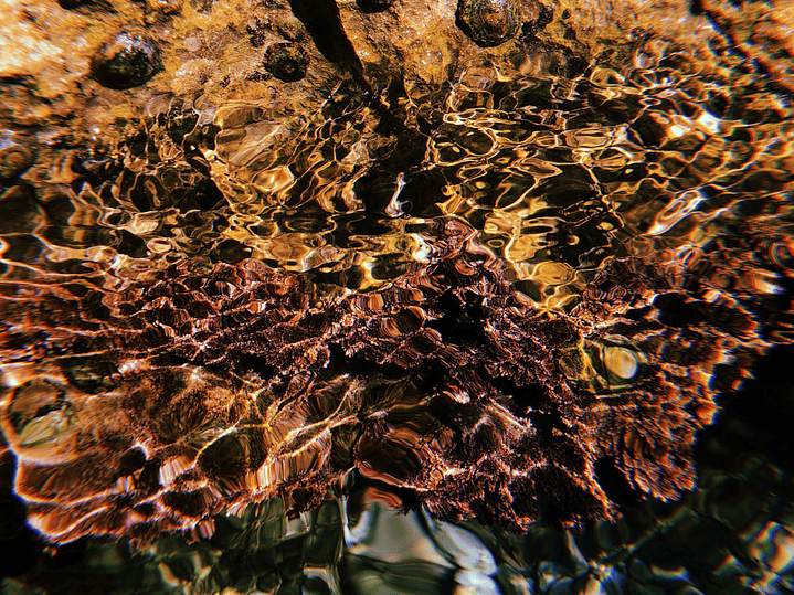 Nadie Nunca Nada - Todas Las Líneas 1