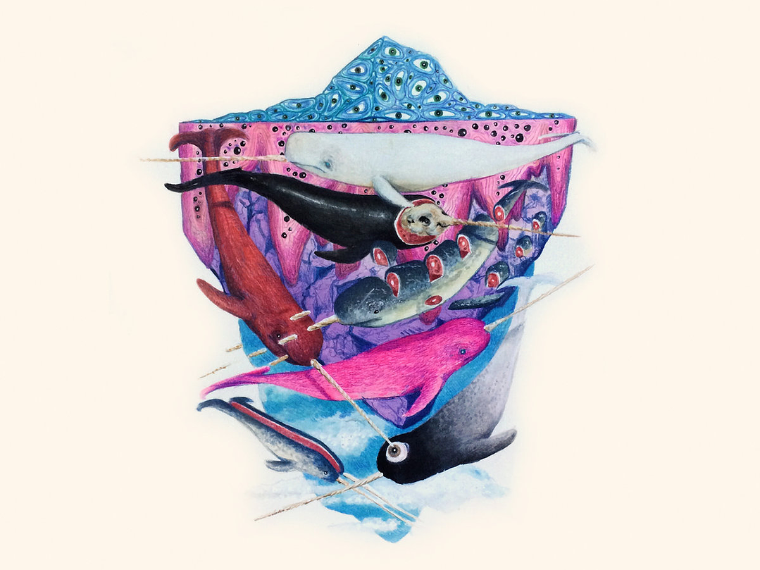 Narval Orquesta - Aventuras de Otoños Tardíos, Pequeñas Iluminaciones y Laaa Lalala 1