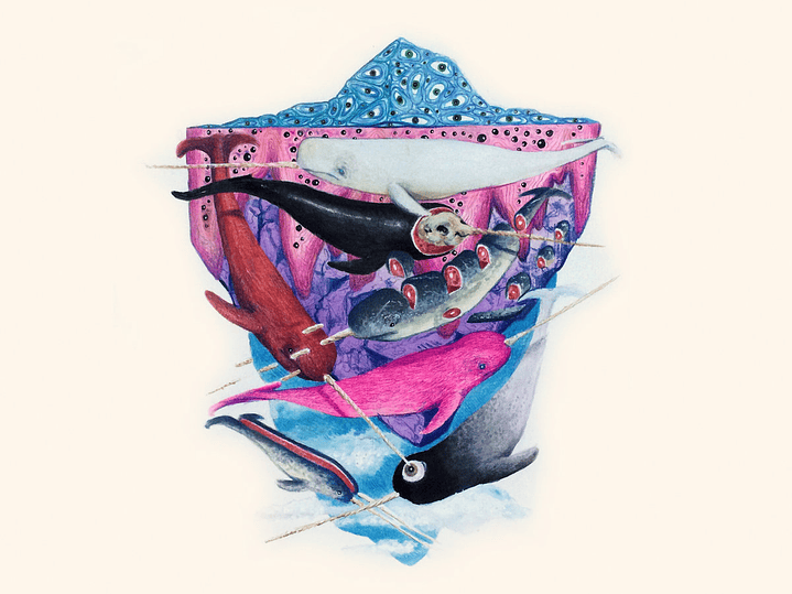 Narval Orquesta - Aventuras de Otoños Tardíos, Pequeñas Iluminaciones y Laaa Lalala 1