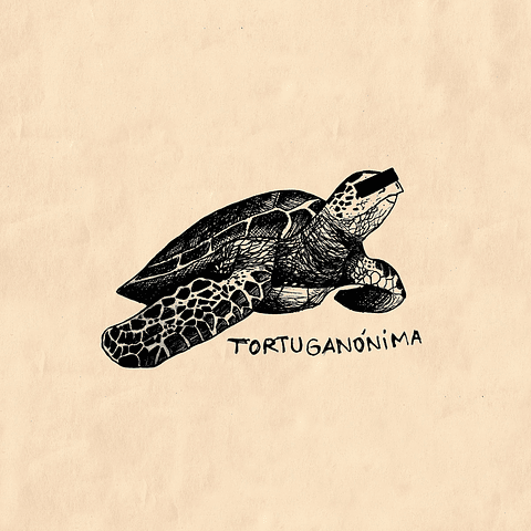 Tortuganónima