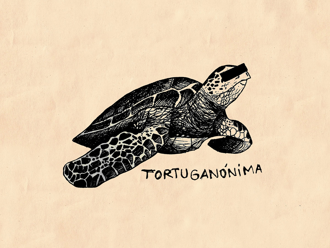 Tortuganónima 1