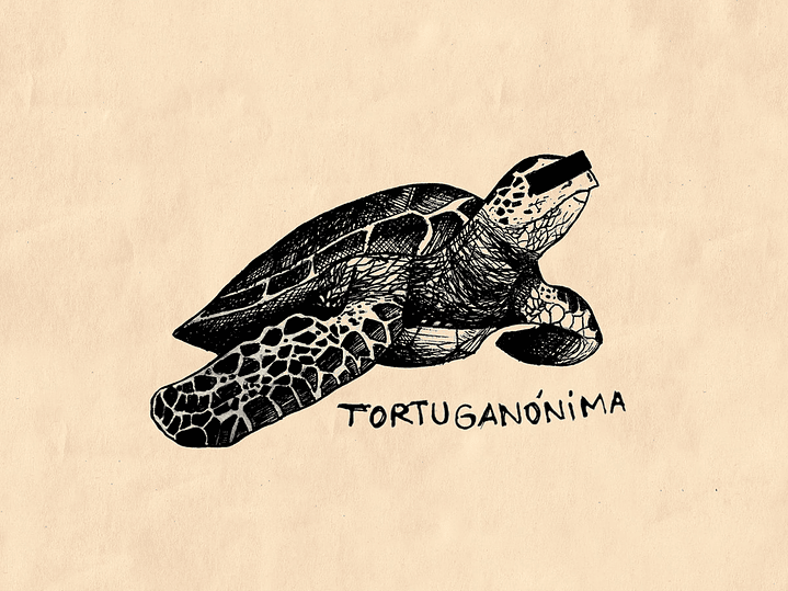 Tortuganónima 1