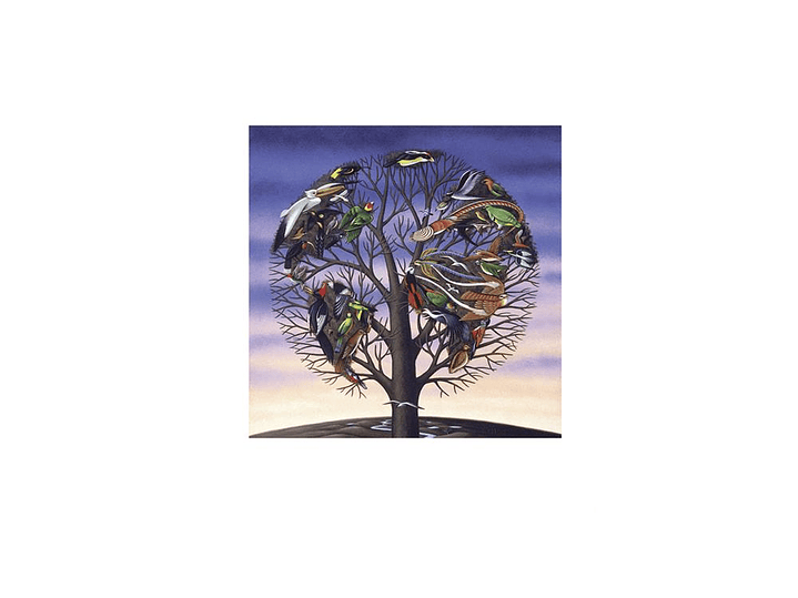 Talk Talk - Laughing Stock 1