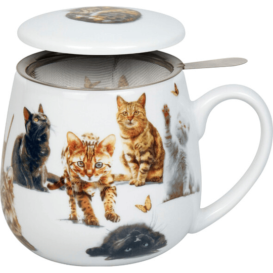 Matero C/Filtro furry little paws