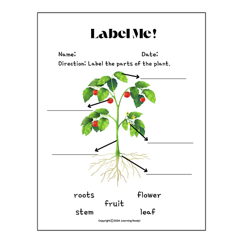 Labeling Parts of a Plant Science Worksheet