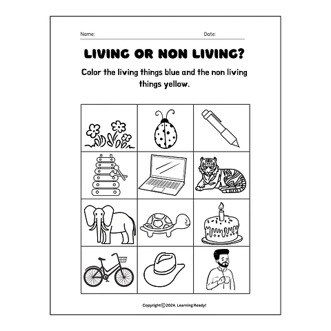 Living and Non-Living Things Worksheet