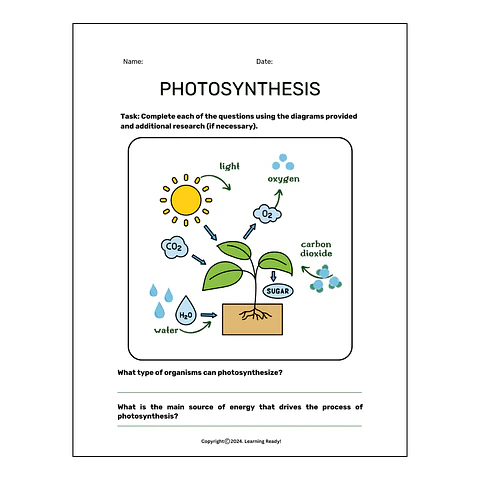 Photosynthesis Worksheet-Science