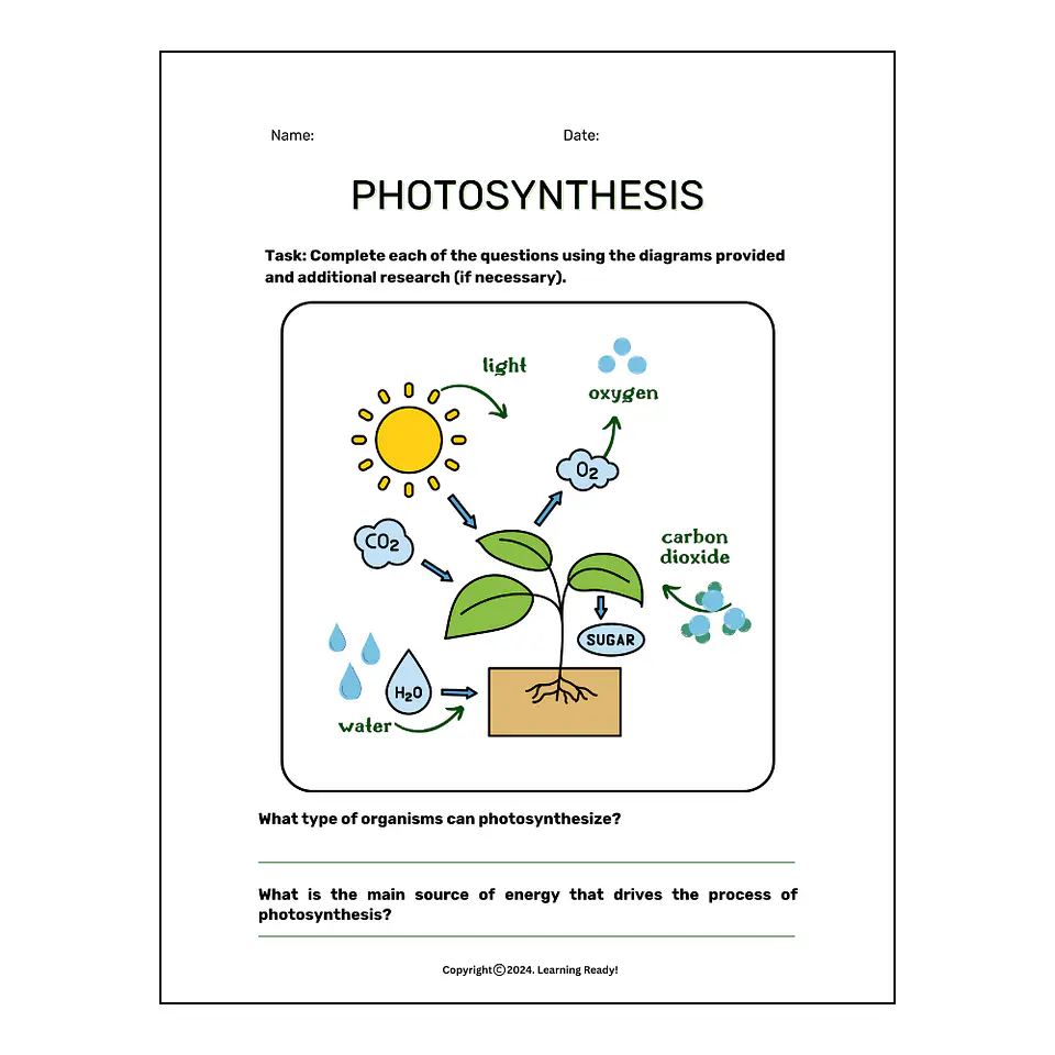 Photosynthesis Worksheet-Science 1