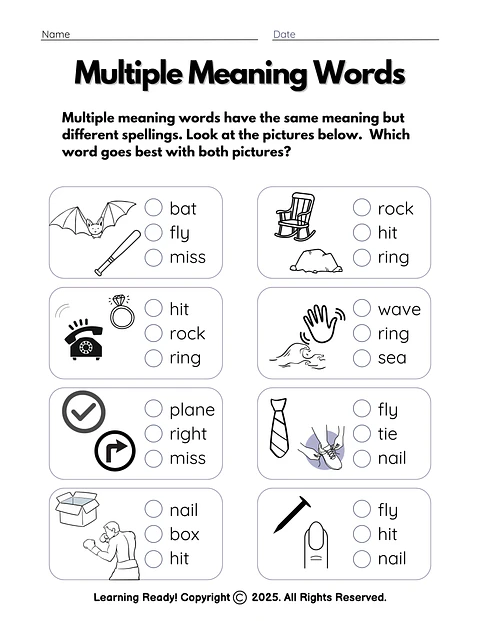 Multiple Meaning Words (Intro to Homonyms)