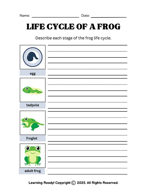 Life Cycle of a Frog