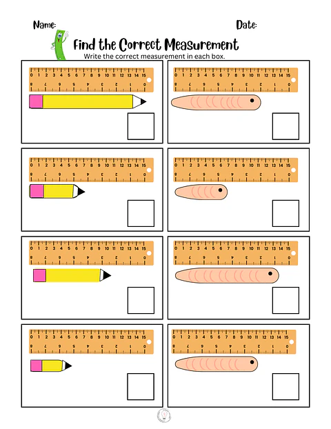 Find the Correct Measurement