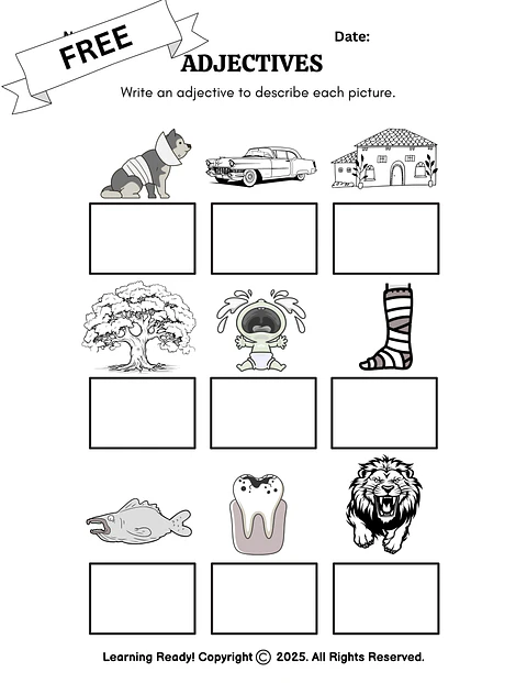 Adjectives Practice Worksheet