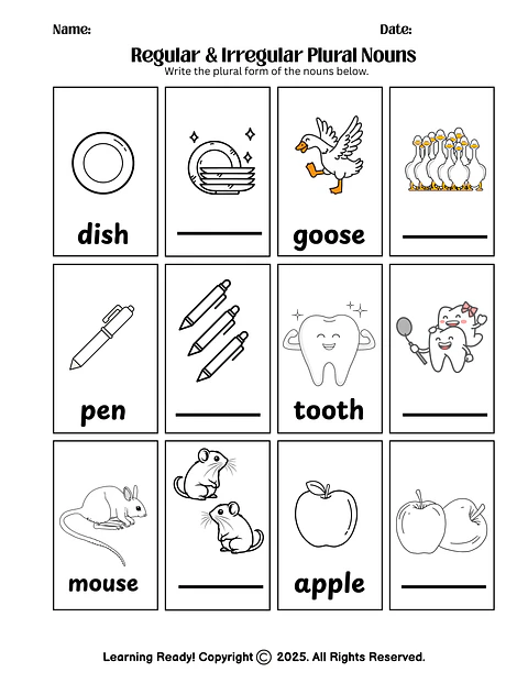 Regular & Irregular Plural Nouns Worksheet
