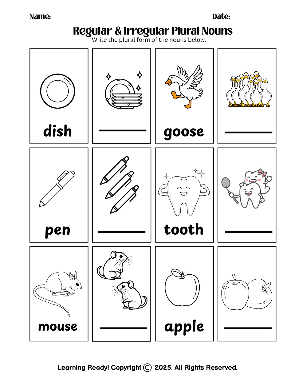 Regular & Irregular Plural Nouns Worksheet 1