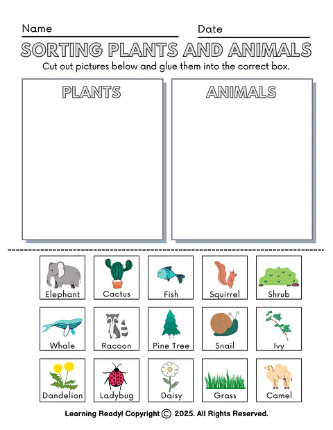Sorting Plants and Animals Worksheet