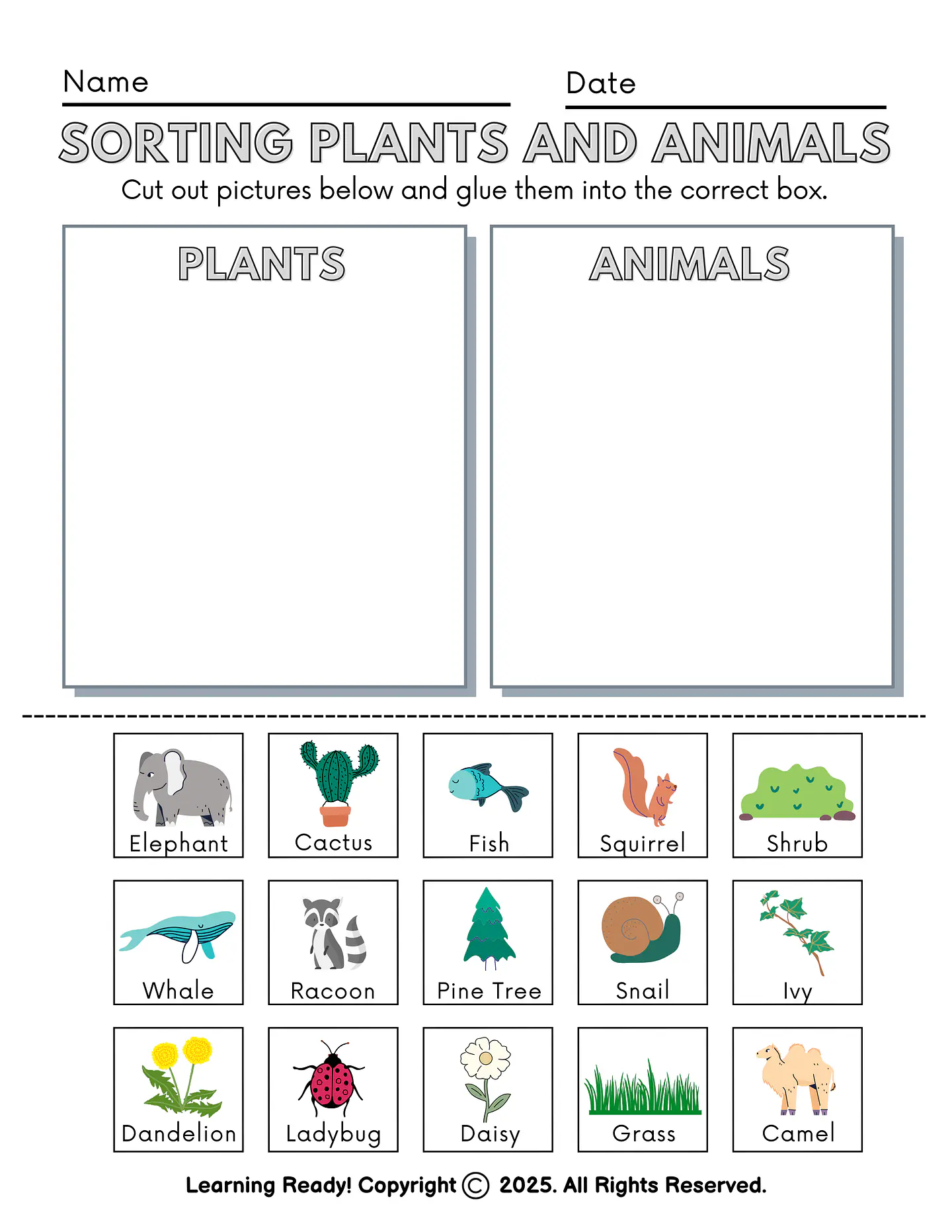Sorting Plants and Animals Worksheet 1