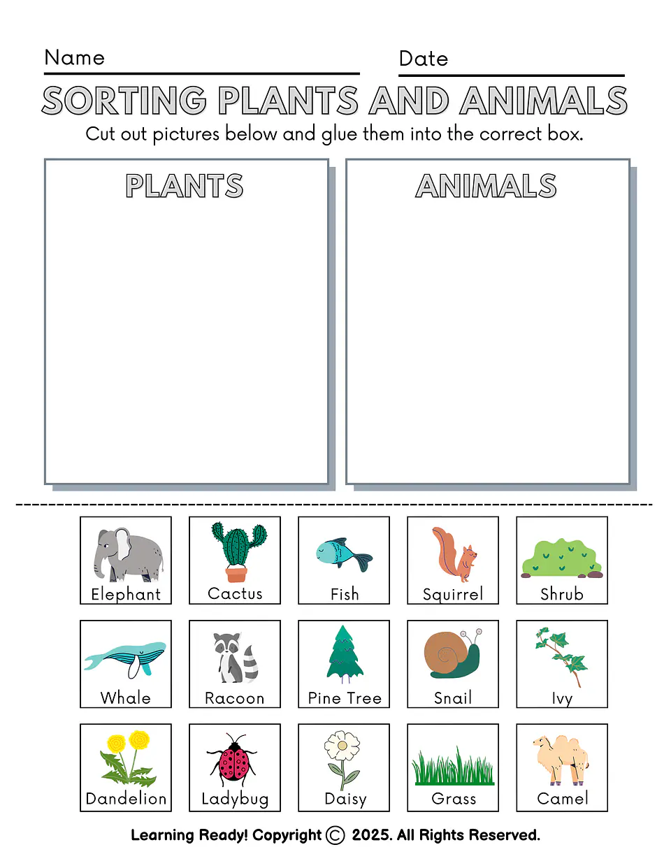 Sorting Plants and Animals Worksheet 1