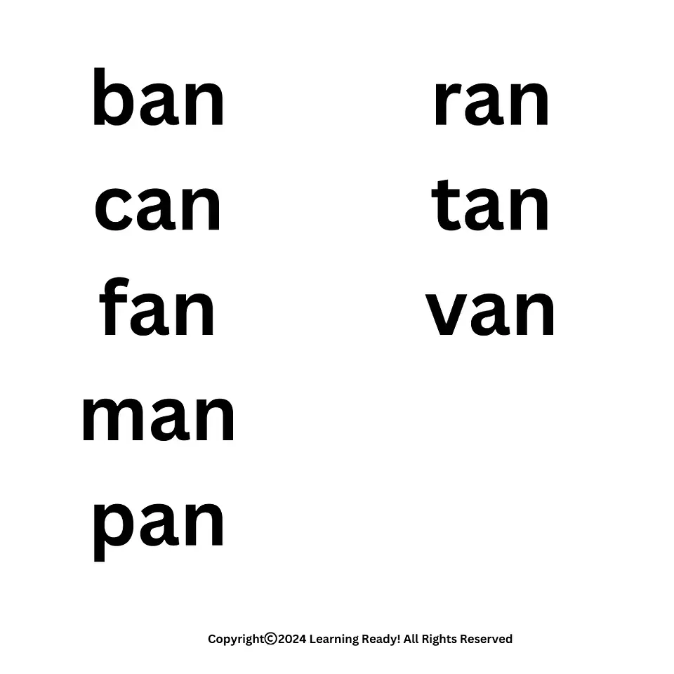 Dan & Jan Leveled Reader (-an) 2