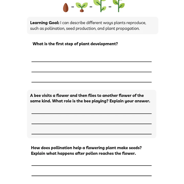Life Sciences Workbook 2