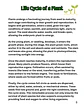 Life Sciences Workbook - thumbnail 3
