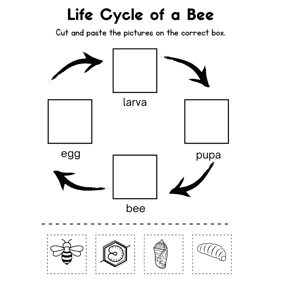 Life Sciences Workbook 4