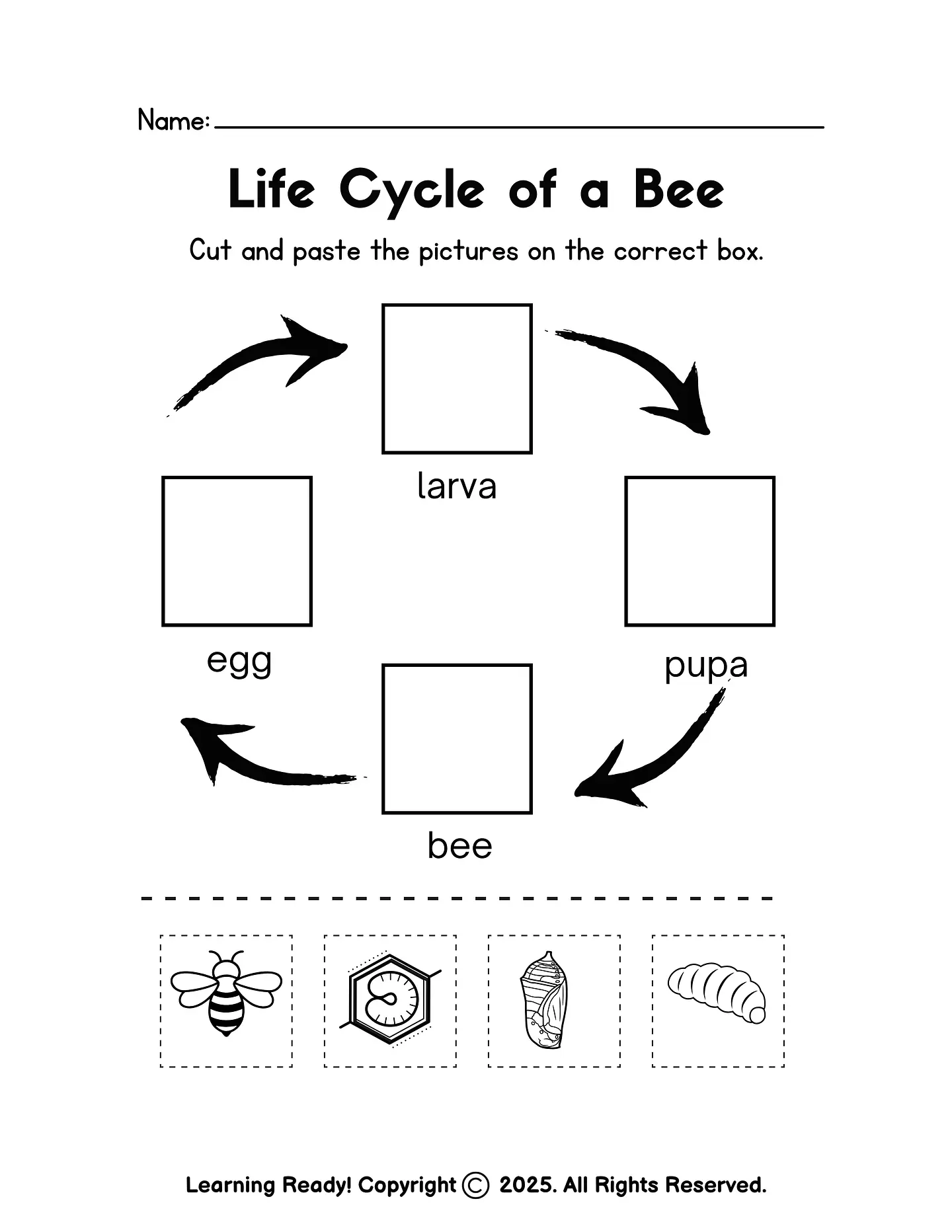 Life Sciences Workbook 4