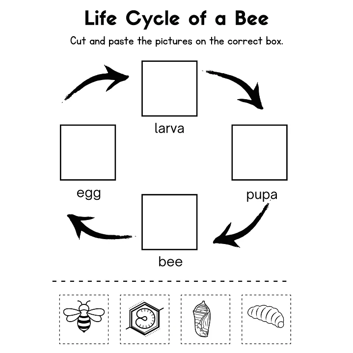 Life Sciences Workbook 4