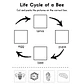 Life Sciences Workbook - thumbnail 4
