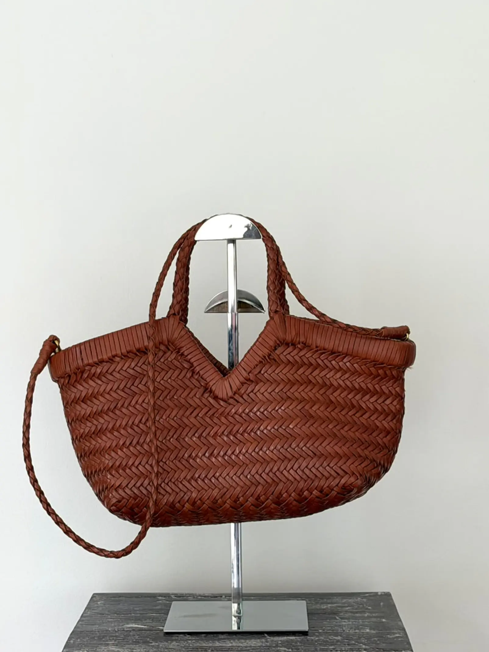 Cloe - Camel  1